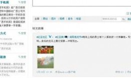 广西宾阳最新闻爆料网站,揭秘本地热点事件背后的真相