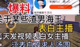 河北渣男最新爆料视频,惊人真相揭露，网友热议不断
