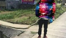 筠连网友爆料最新消息,最新事件详情曝光！