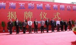 三友化工最新爆料,揭秘企业变革与发展新动向