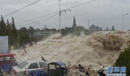 海宁大潮网爆料事件最新,揭秘背后真相与争议