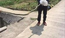 筠连网友爆料最新消息,最新事件详情曝光！