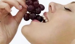 哑舍最新爆料吃葡萄,神秘葡萄引出惊天秘密，古玩世界再掀风云