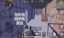 泰安神秘人爆料视频最新,揭秘事件背后惊人真相