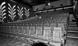 南京电影院爆料案件最新,真相渐浮水面，疑云终将揭晓